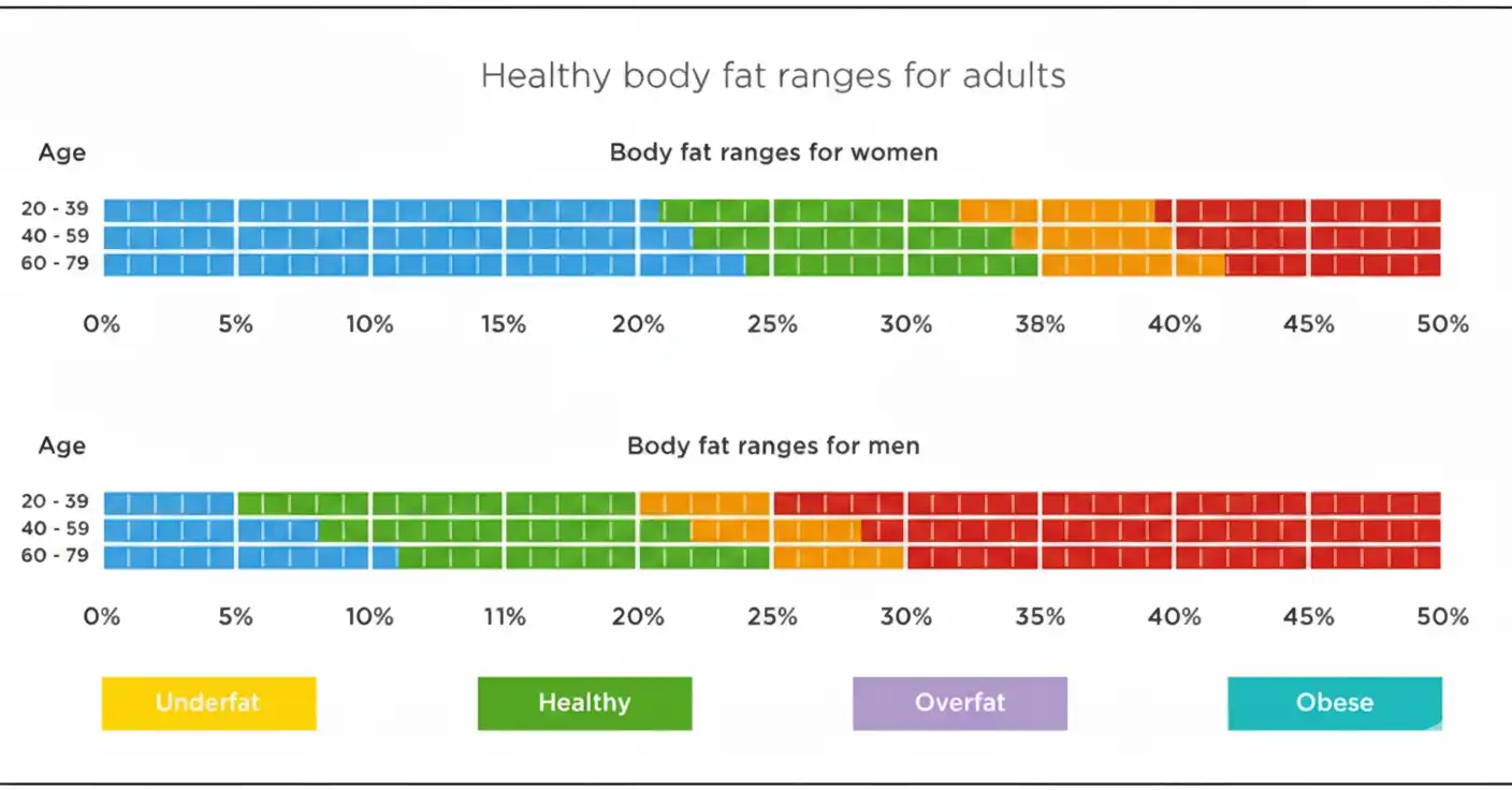 Healthy Body Fat Percentage Ranges
